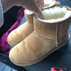 Short uggs